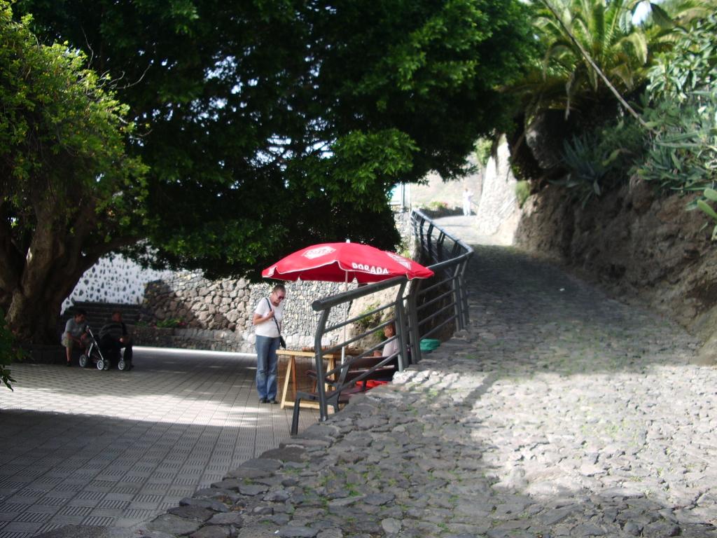 Foto de Masca (Santa Cruz de Tenerife), España