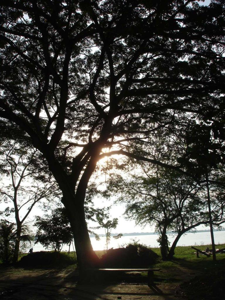 Foto de Barrancabermeja, Colombia