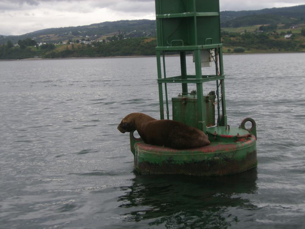 Foto de Castro, Chile