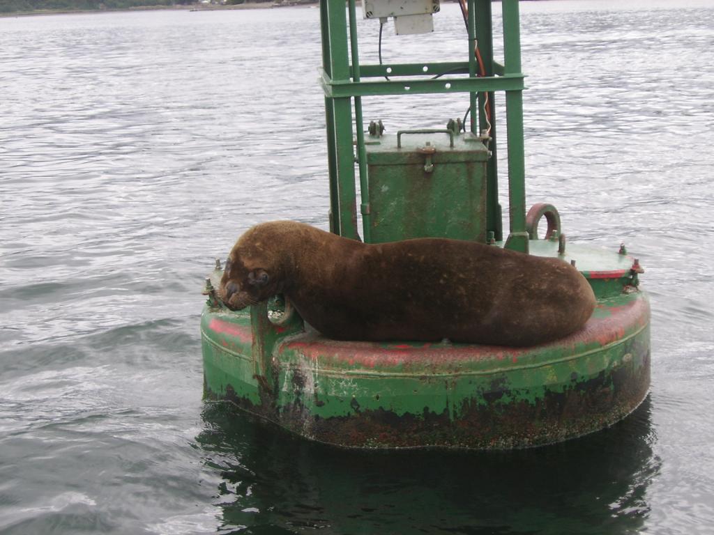 Foto de Castro, Chile