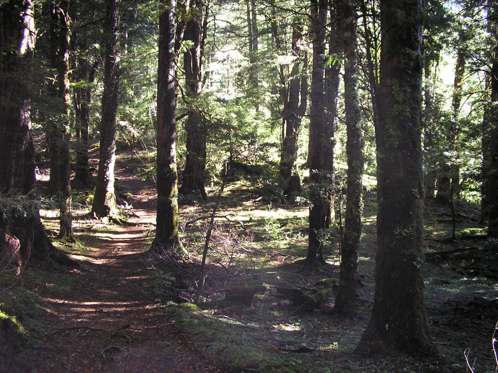 Foto de Villarica, Chile