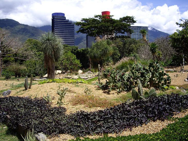 Foto de Caracas, Venezuela