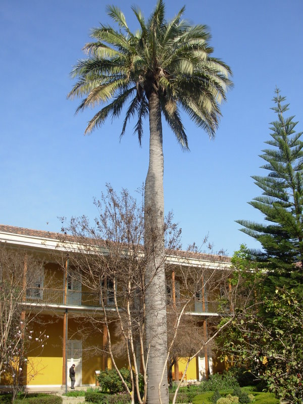 Foto de Santiago, Chile