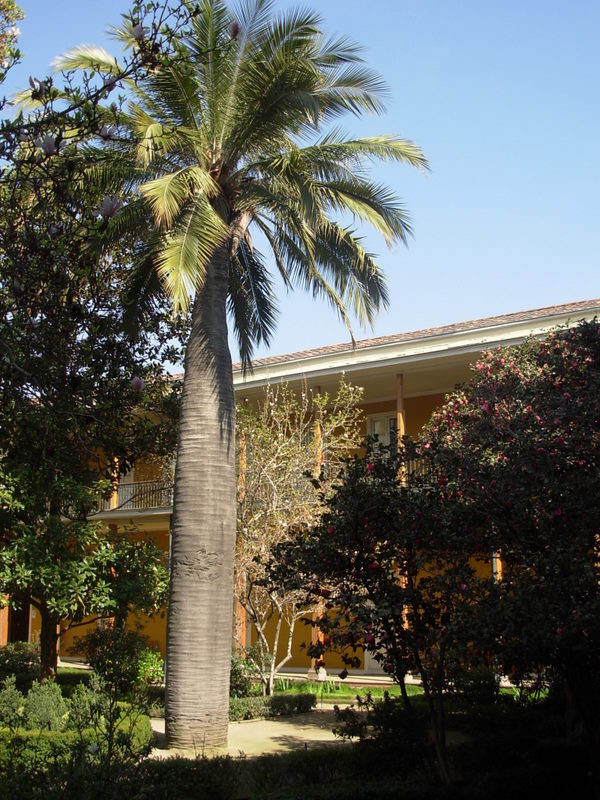 Foto de Santiago, Chile