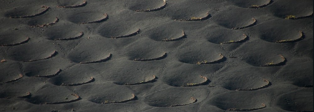 Foto de Lanzarote (Las Palmas), España