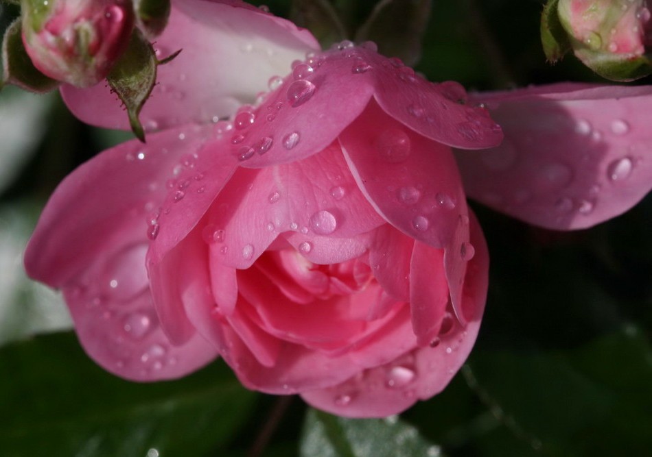 Foto de Lanzarote (Las Palmas), España