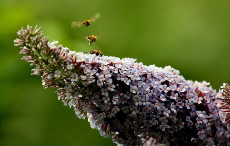 Foto de Barcelona (Cataluña), España