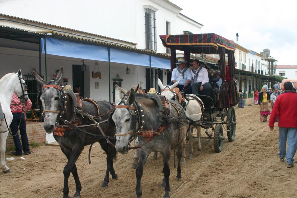 Foto de Almonte (Huelva), España