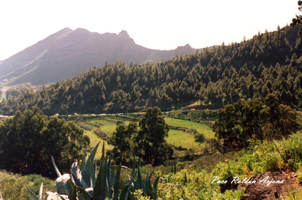 Foto de Icod (Santa Cruz de Tenerife), España