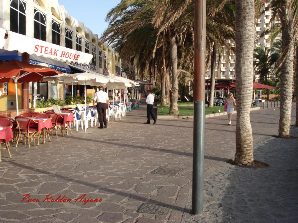 Foto de Los Cristianos (Arona) (Santa Cruz de Tenerife), España