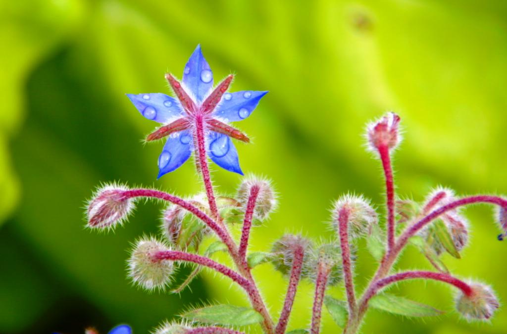 Foto de Angers, Francia
