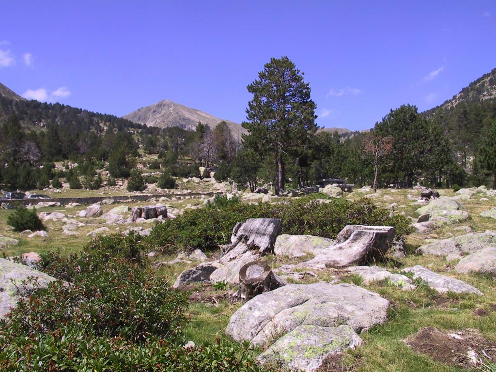 Foto de Cerdanya (Lleida), España