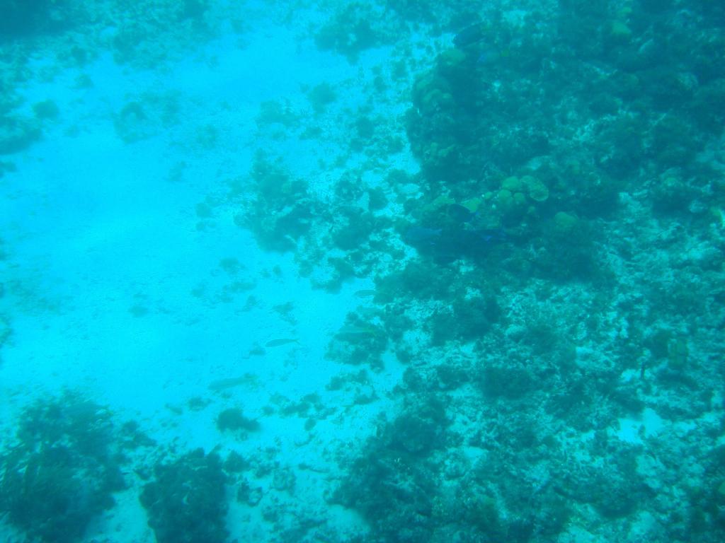 Foto de San Andrés, Colombia