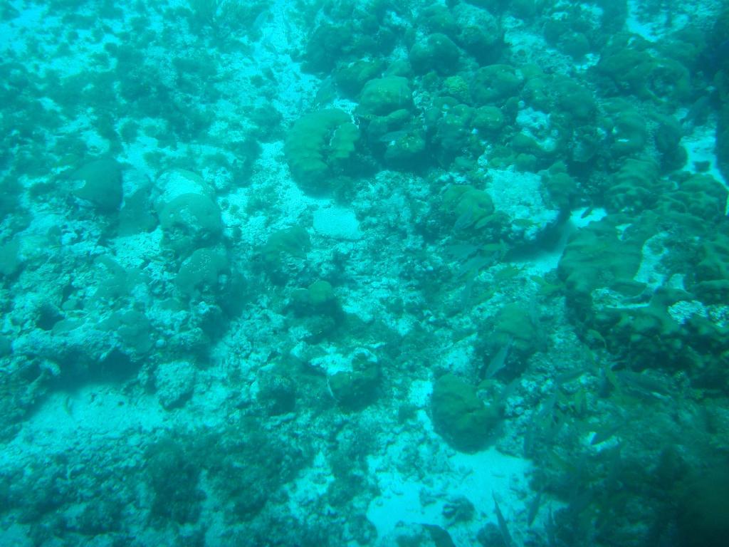 Foto de San Andrés, Colombia