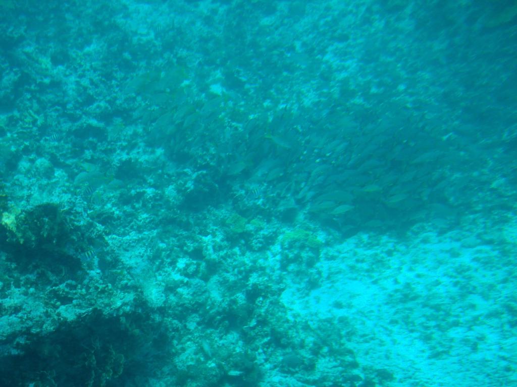 Foto de San Andrés, Colombia