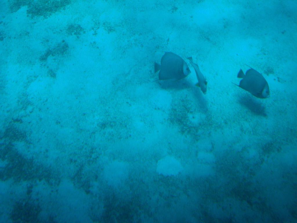 Foto de San Andrés, Colombia