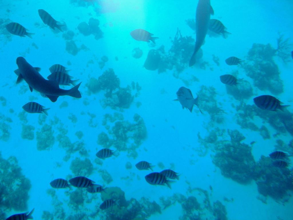 Foto de San Andrés, Colombia