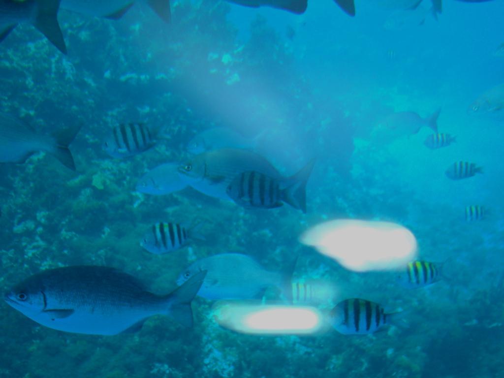 Foto de San Andrés, Colombia