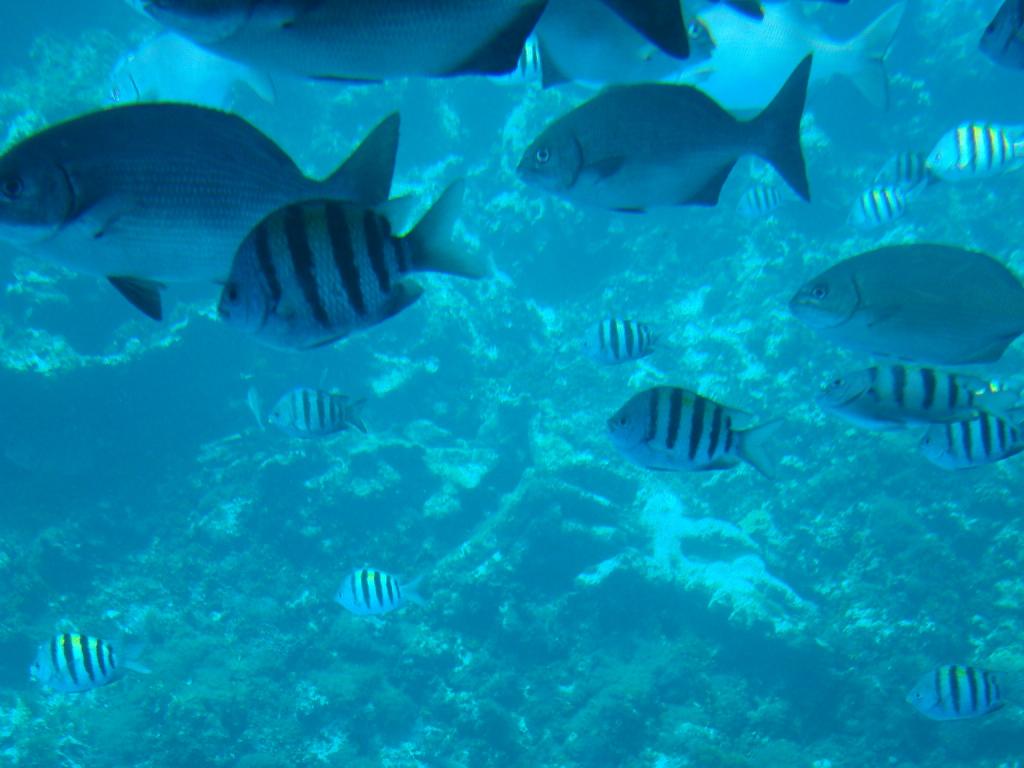 Foto de San Andrés, Colombia