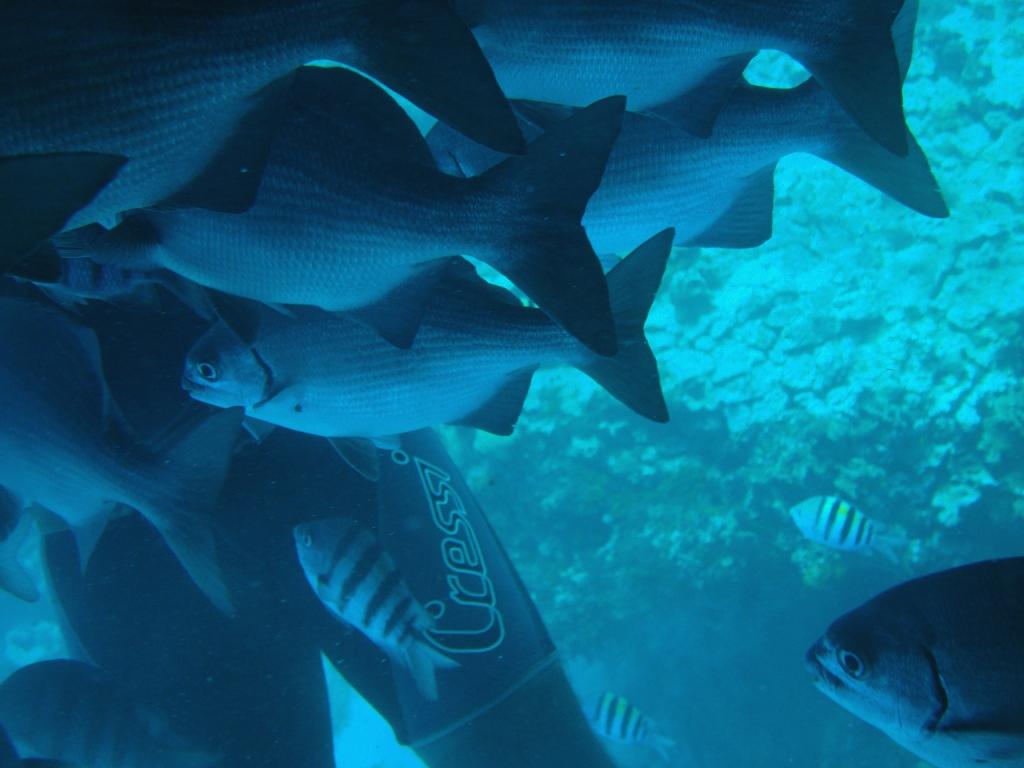 Foto de San Andrés, Colombia