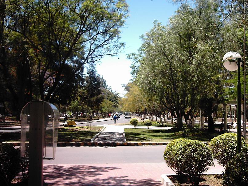 Foto de Tarija, Bolivia