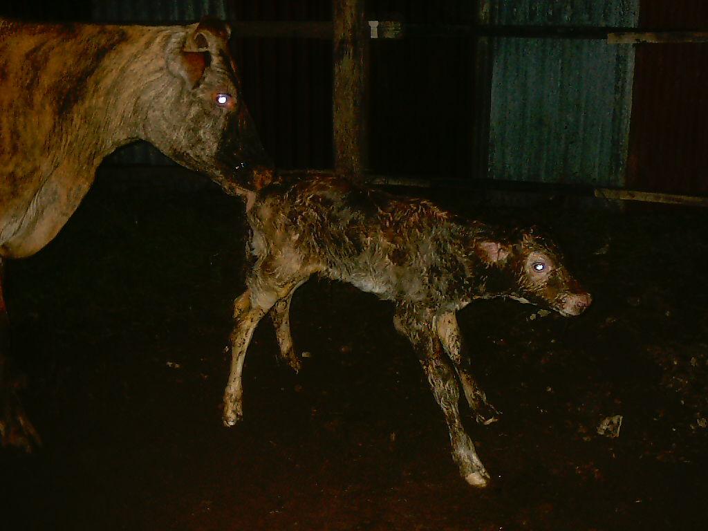 Foto de Puntarenas, Costa Rica
