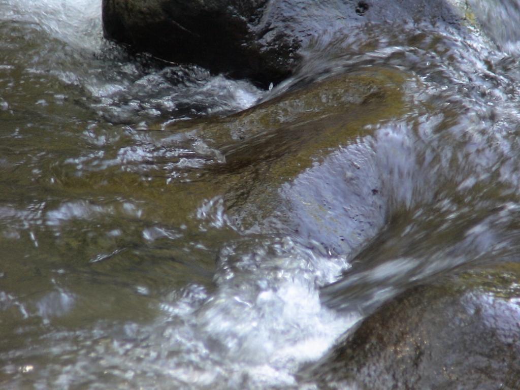 Foto de Montes de Oro (Puntarenas), Costa Rica