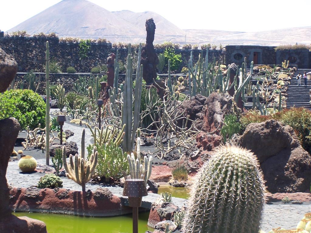 Foto de Lanzarote (Las Palmas), España