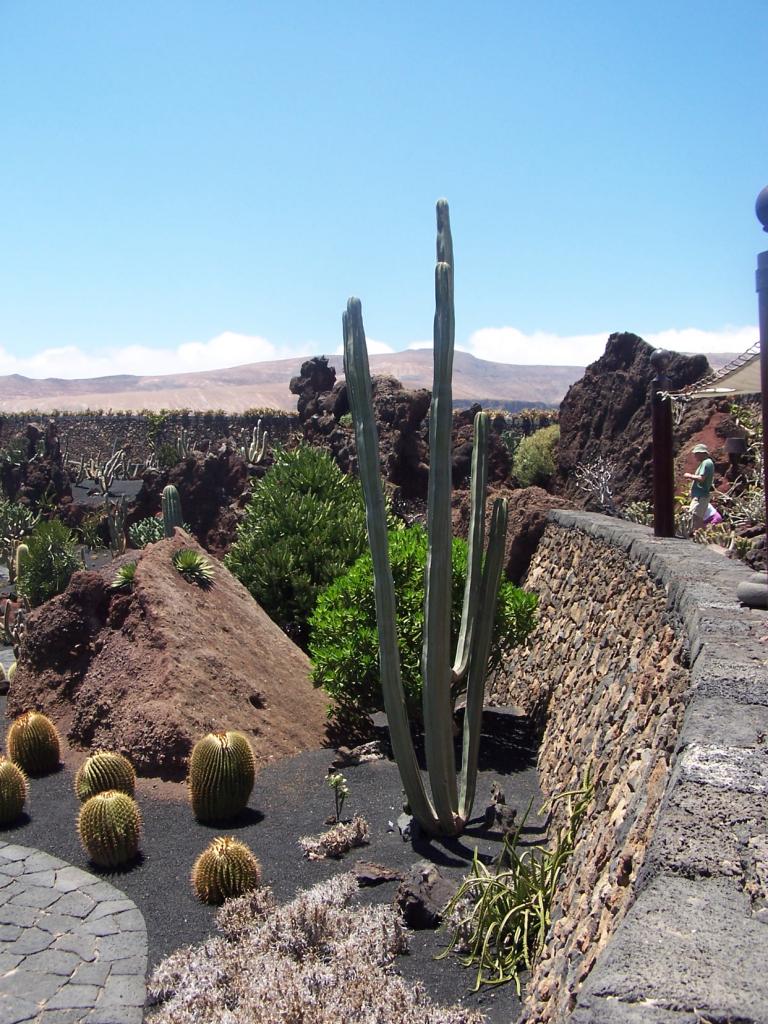 Foto de Lanzarote (Las Palmas), España