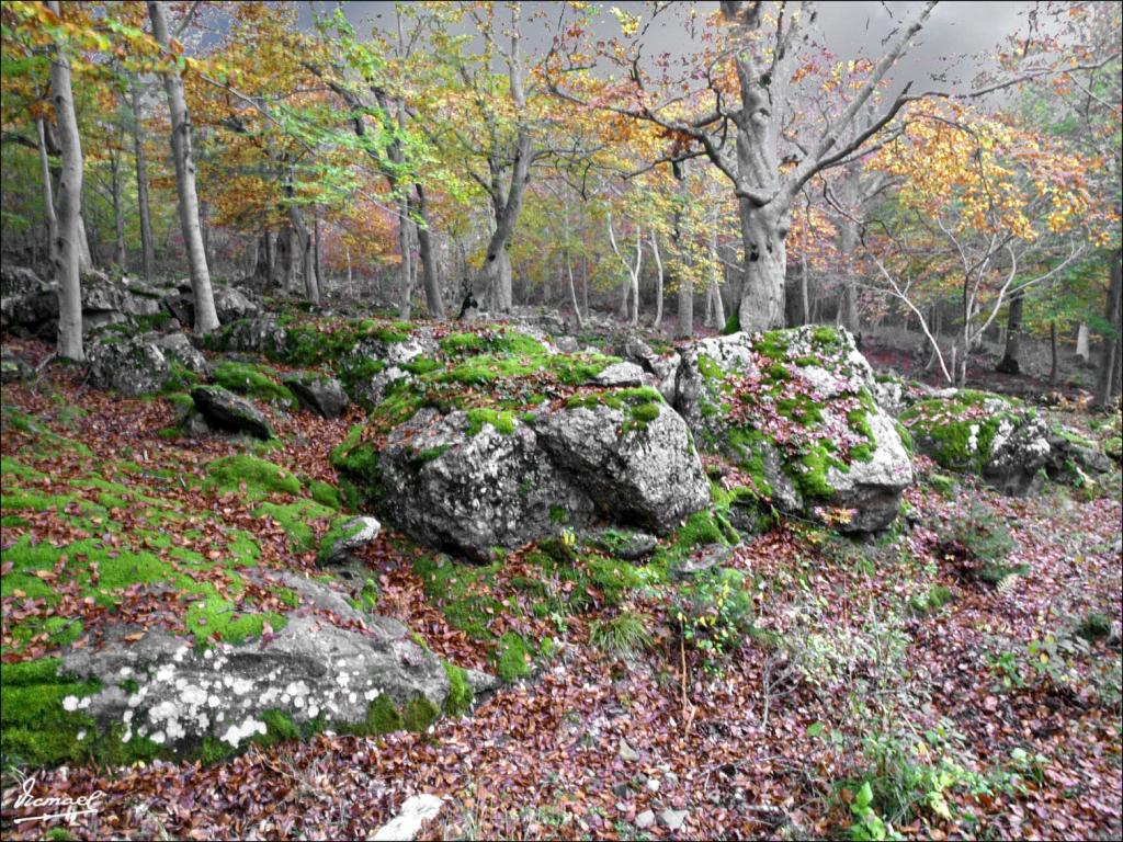 Foto de San Martin de Moncayo (Zaragoza), España