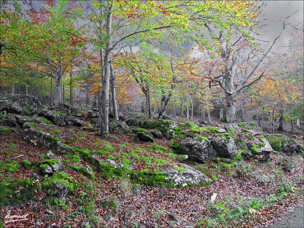 Foto de San Martin de Moncayo (Zaragoza), España