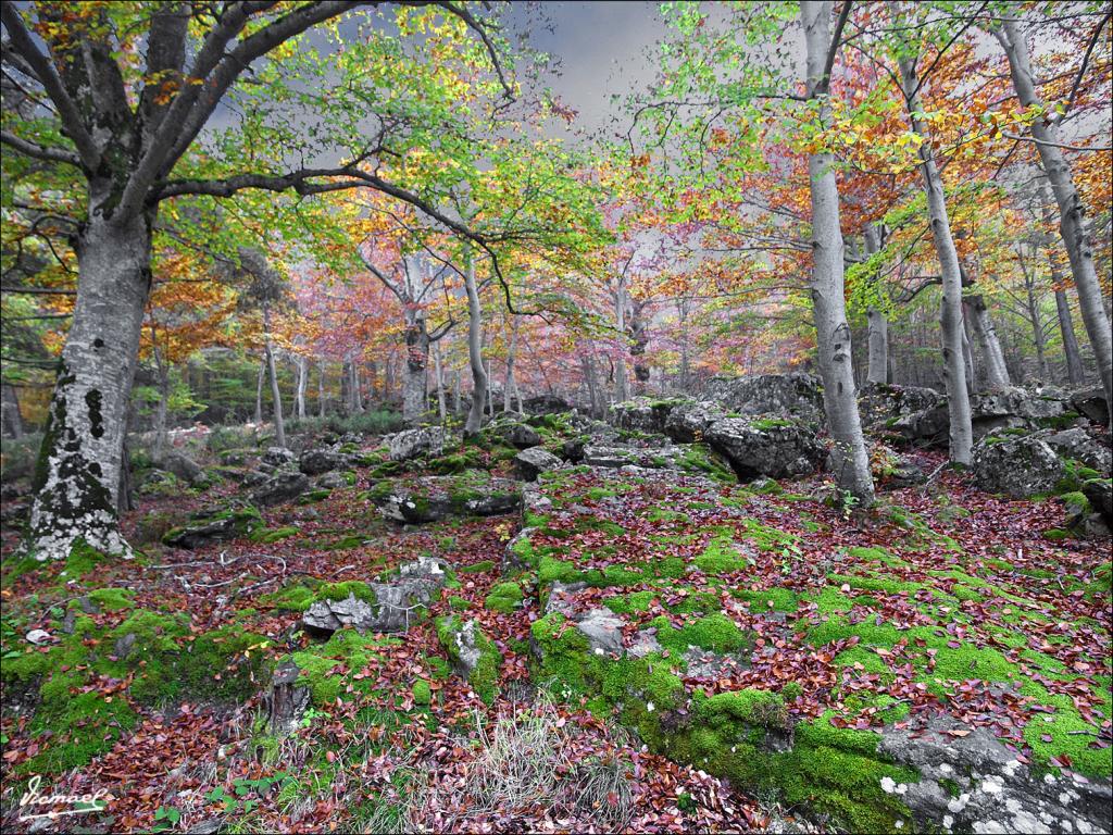 Foto de San Martin de Moncayo (Zaragoza), España