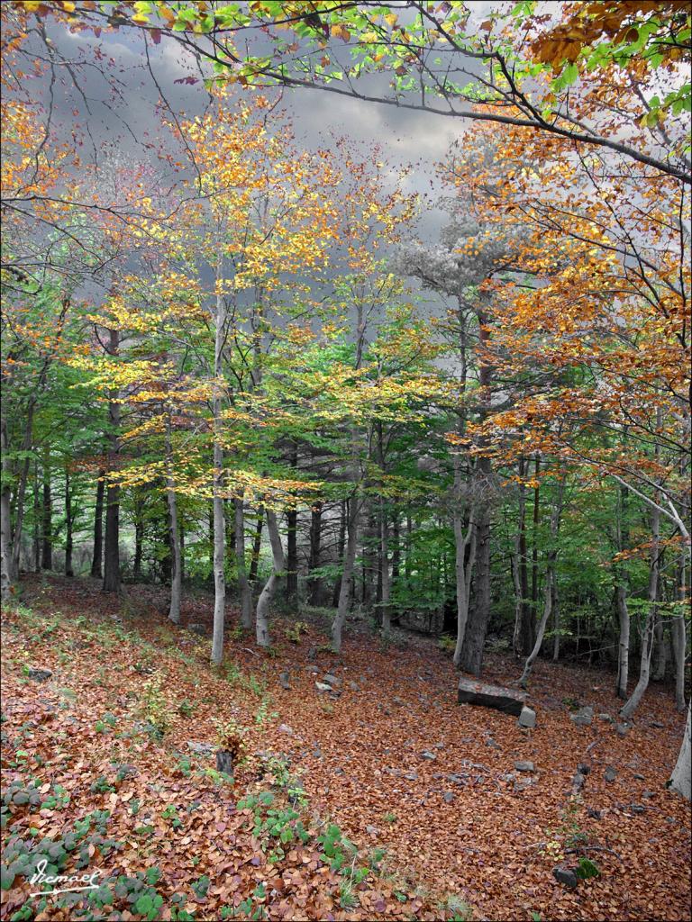 Foto de San Martin de Moncayo (Zaragoza), España