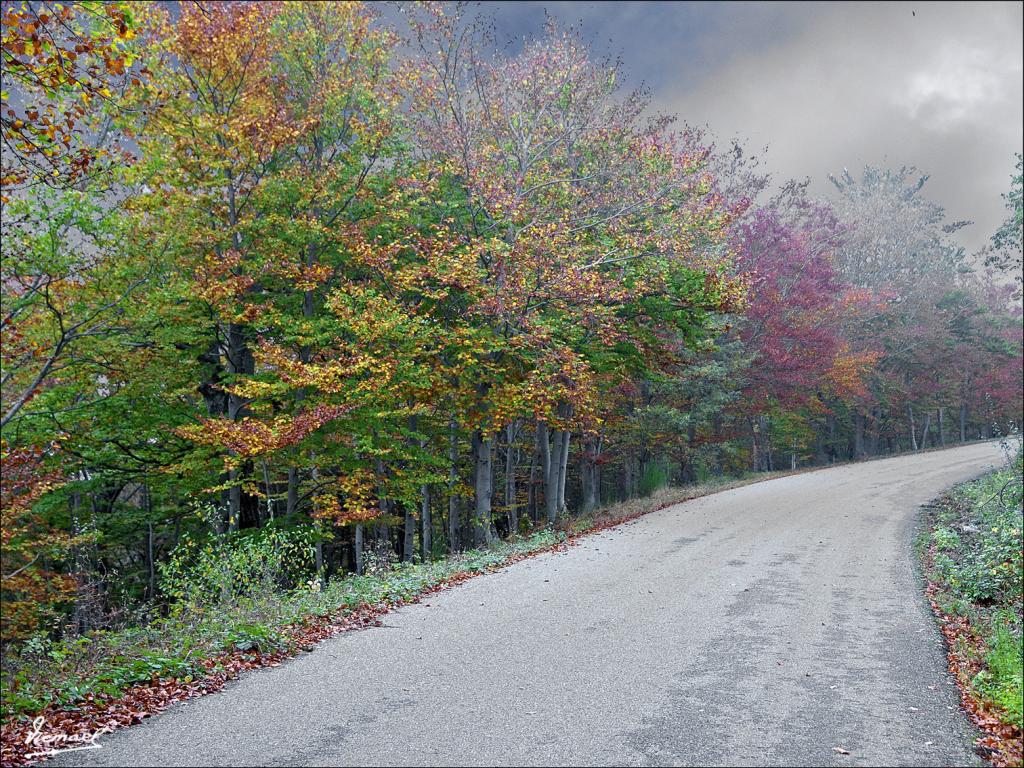 Foto de San Martin de Moncayo (Zaragoza), España