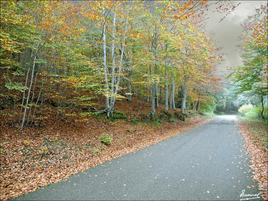 Foto de San Martin de Moncayo (Zaragoza), España
