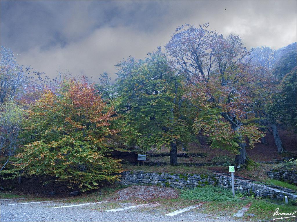 Foto de San Martin de Moncayo (Zaragoza), España