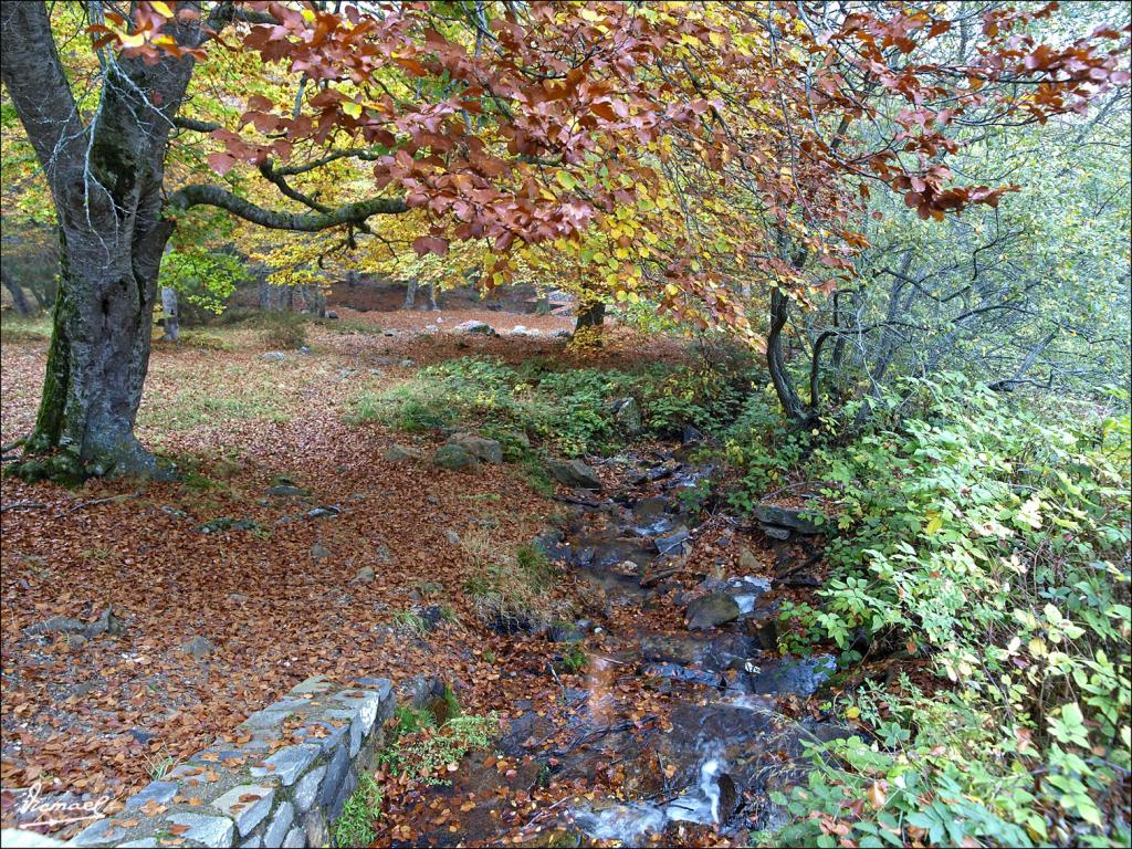 Foto de San Martin de Moncayo (Zaragoza), España