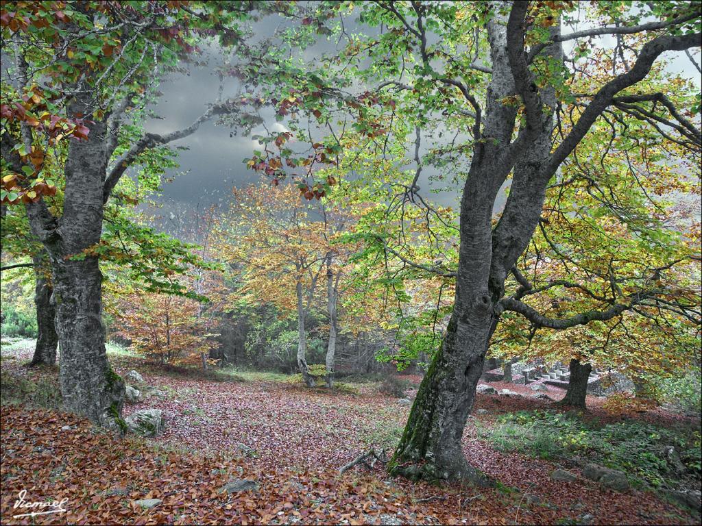 Foto de San Martin de Moncayo (Zaragoza), España