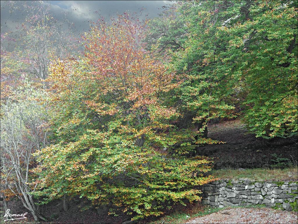 Foto de San Martin de Moncayo (Zaragoza), España