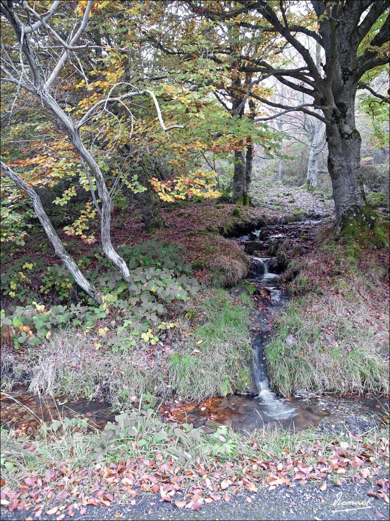 Foto de San Martin de Moncayo (Zaragoza), España