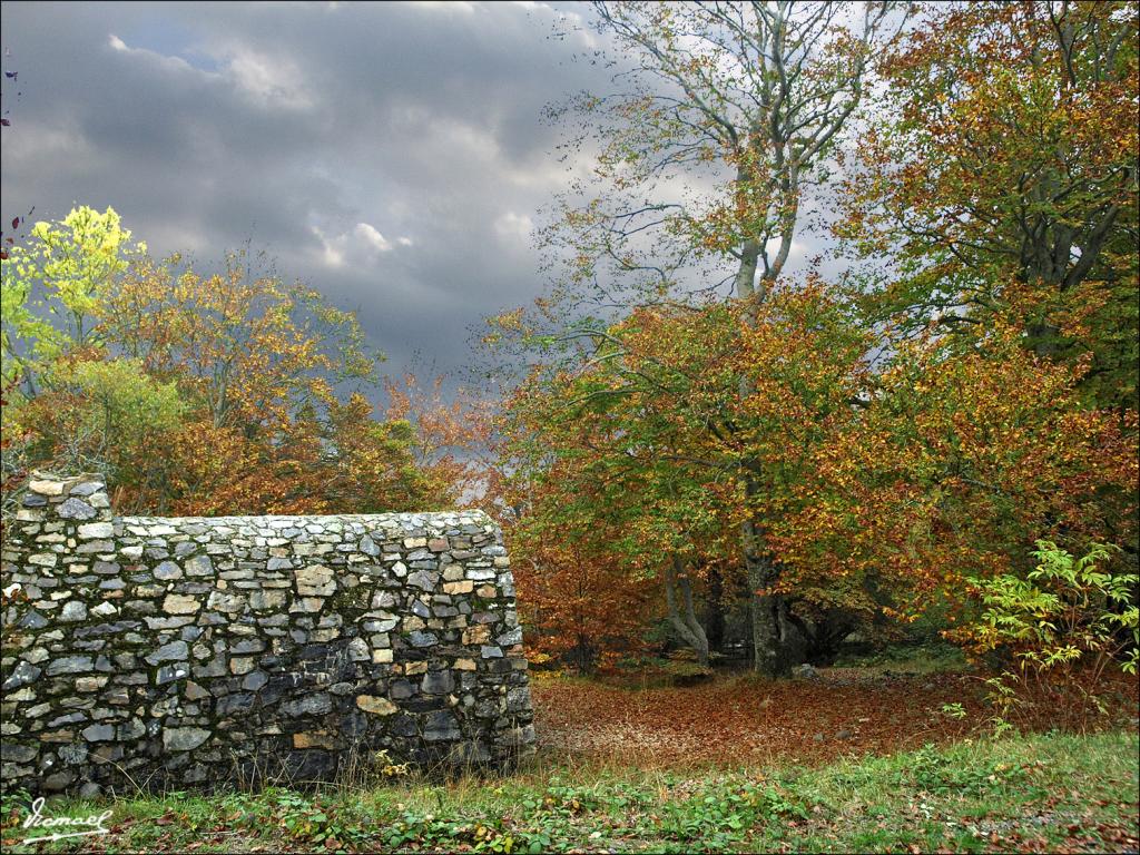 Foto de San Martin de Moncayo (Zaragoza), España