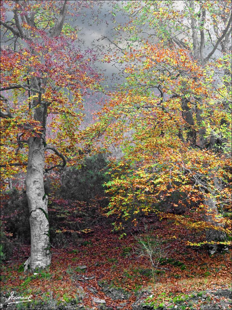 Foto de San Martin de Moncayo (Zaragoza), España