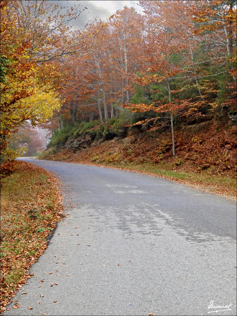Foto de San Martin de Moncayo (Zaragoza), España