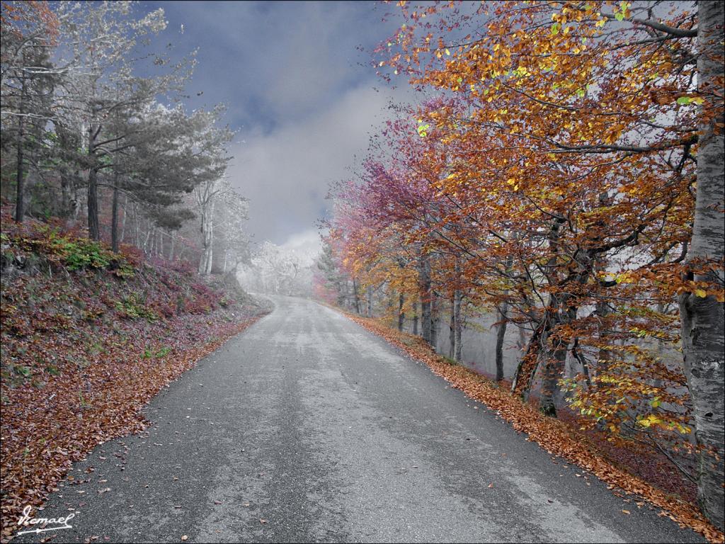 Foto de San Martin de Moncayo (Zaragoza), España