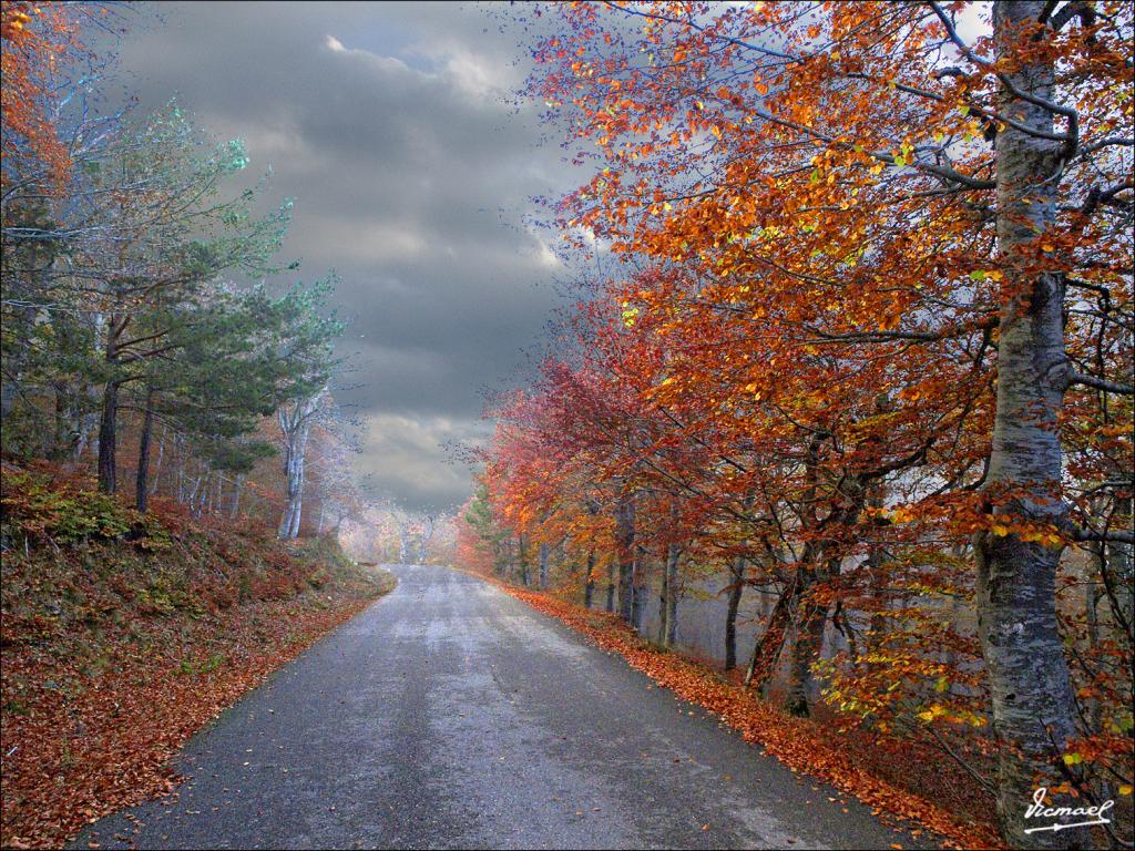 Foto de San Martin de Moncayo (Zaragoza), España