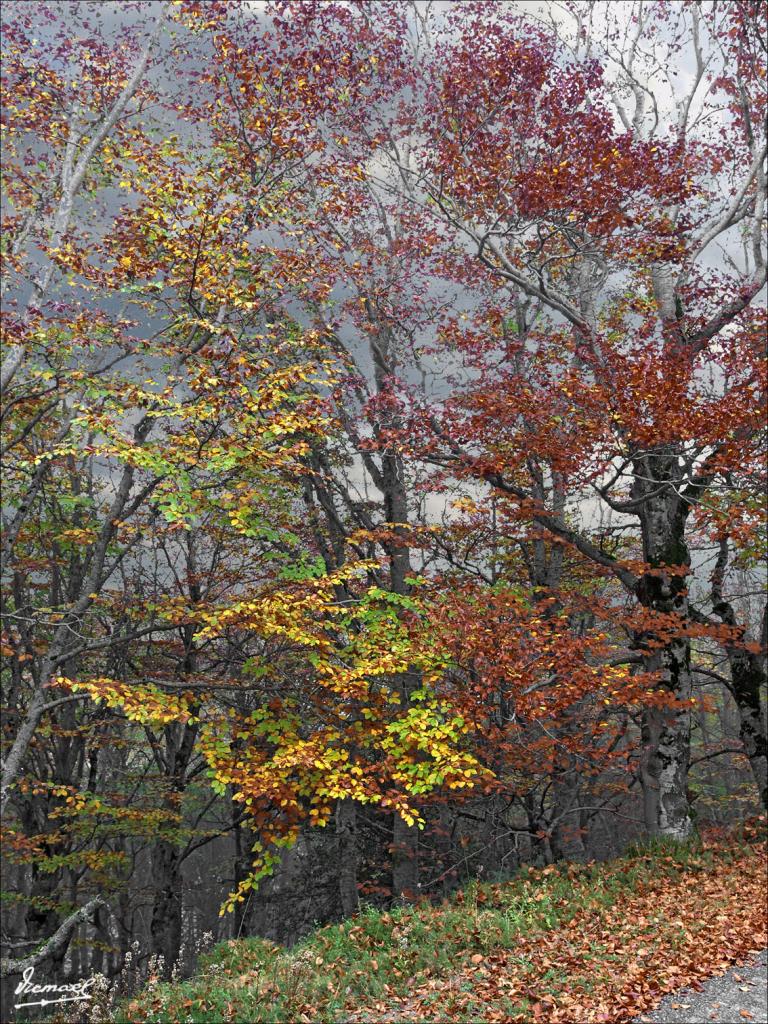 Foto de San Martin de Moncayo (Zaragoza), España