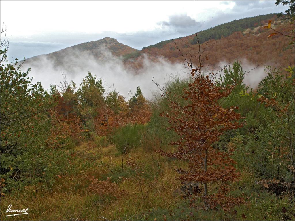 Foto de San Martin de Moncayo (Zaragoza), España