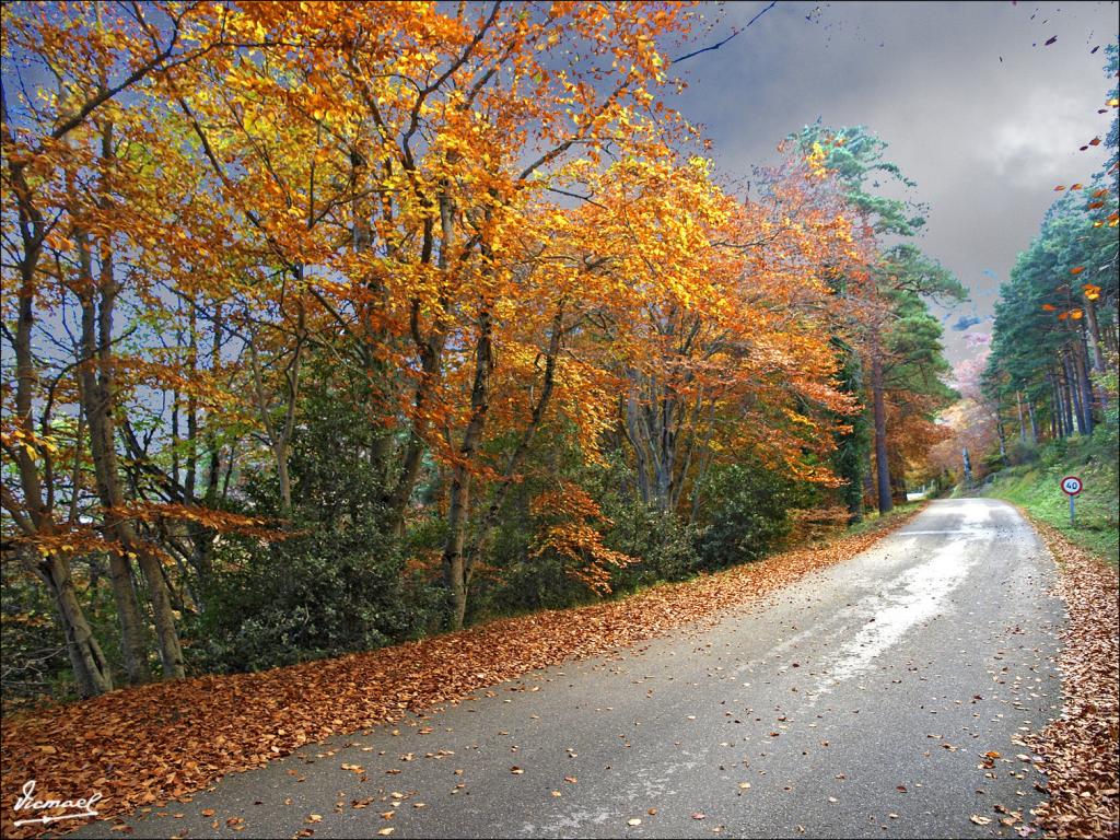 Foto de San Martin de Moncayo (Zaragoza), España