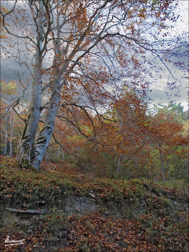 Foto de San Martin de Moncayo (Zaragoza), España