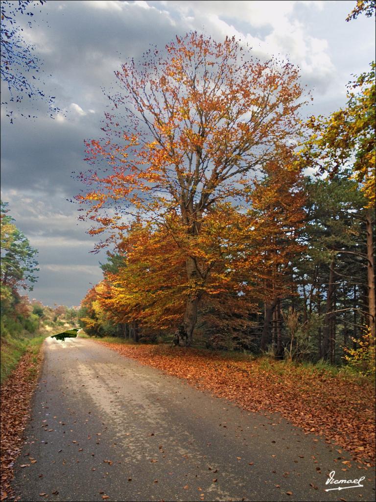 Foto de San Martin de Moncayo (Zaragoza), España